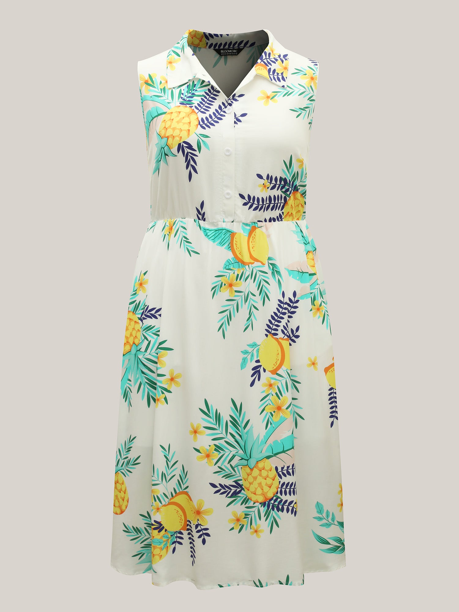 Rayon Fruit Print Collar Pockets Midi Dress