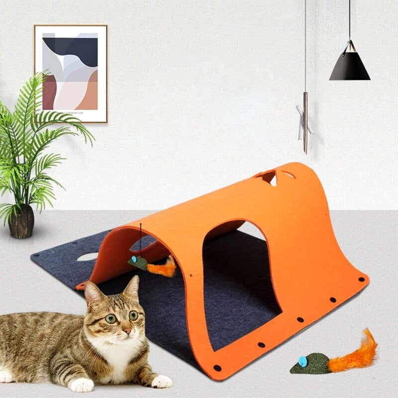 Cat Tunnel With Hanging Catnip