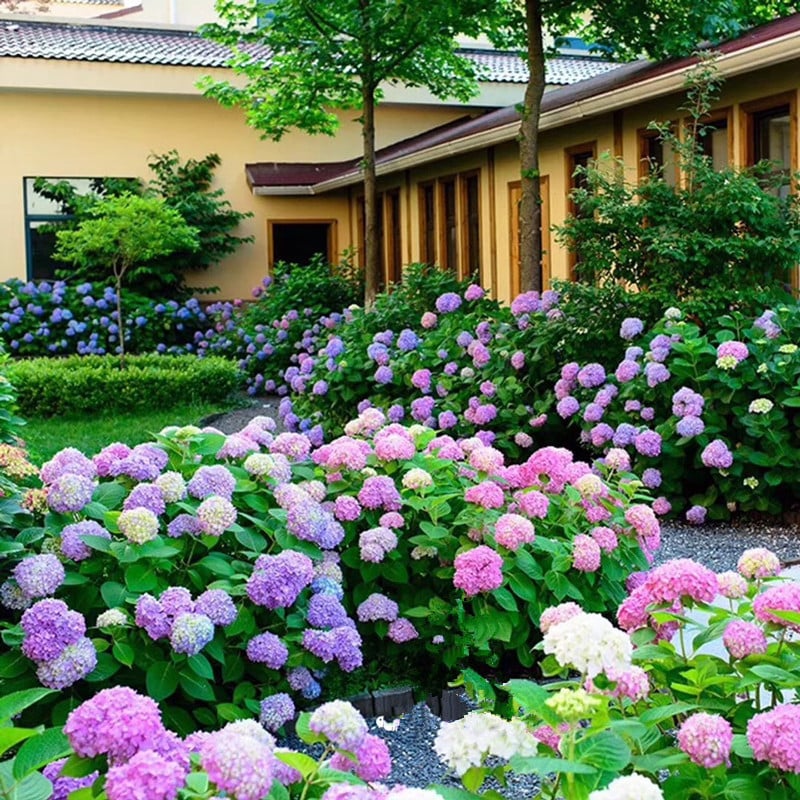 49% OFF--Outdoor Artificial Hydrangea Flowers💐