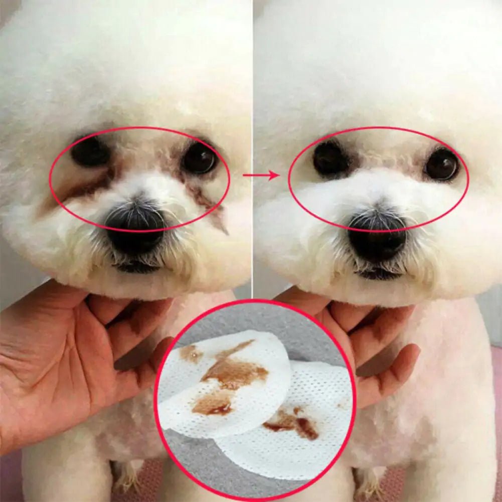 Pet Wet Eye And Ear Wipes
