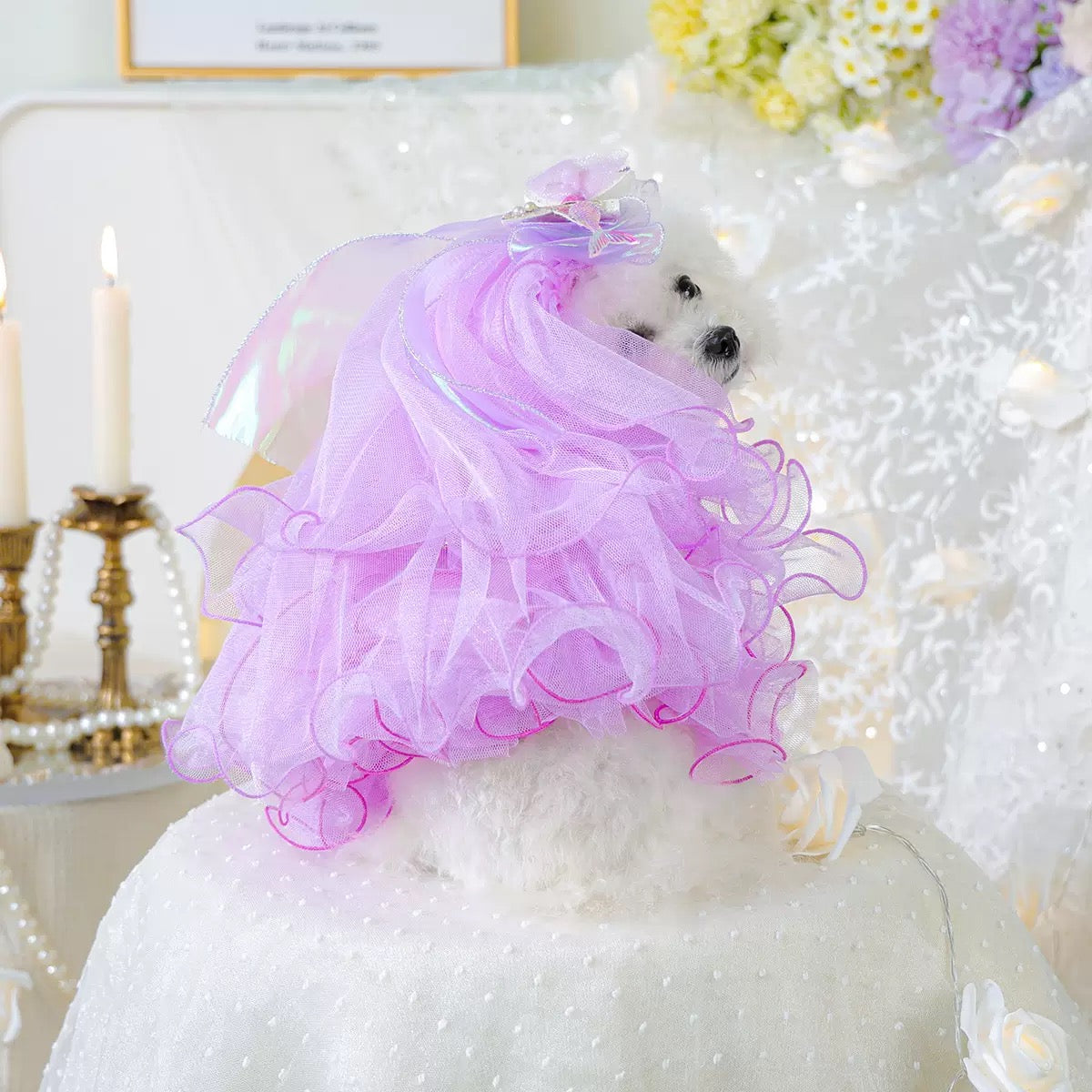 Bow/Mermaid/Ear Pattern Dog Cat Veil