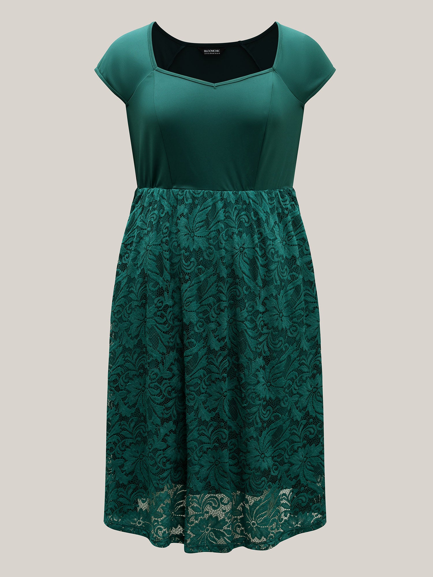 Sculpted Lace Stretchy Waist Midi Dress