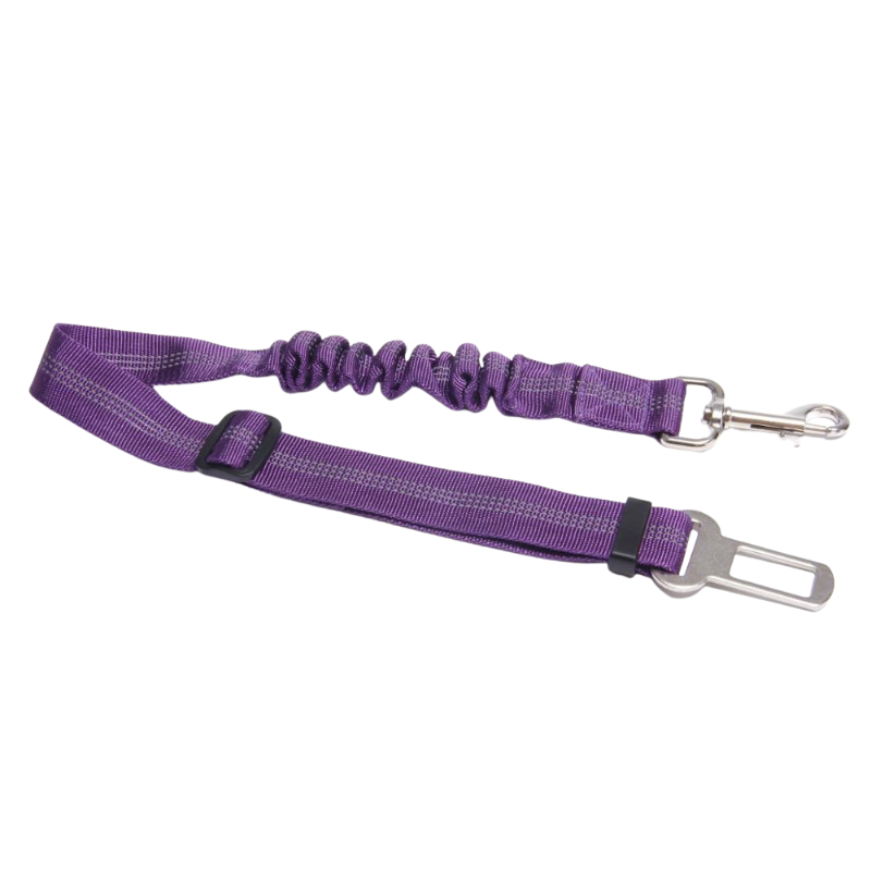 Pet Car Safety Leashes