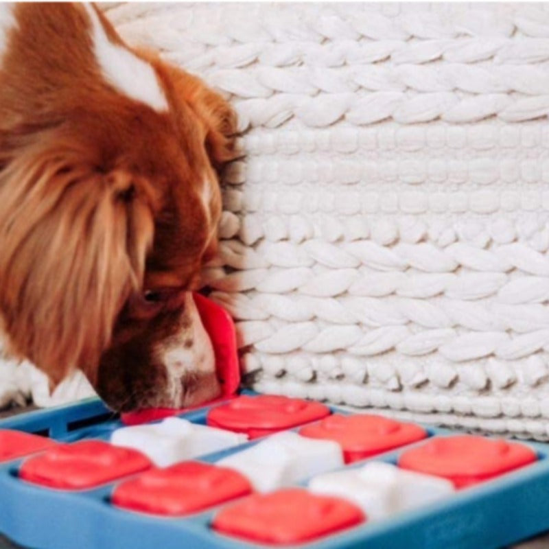 Dog Brick Treat Puzzle