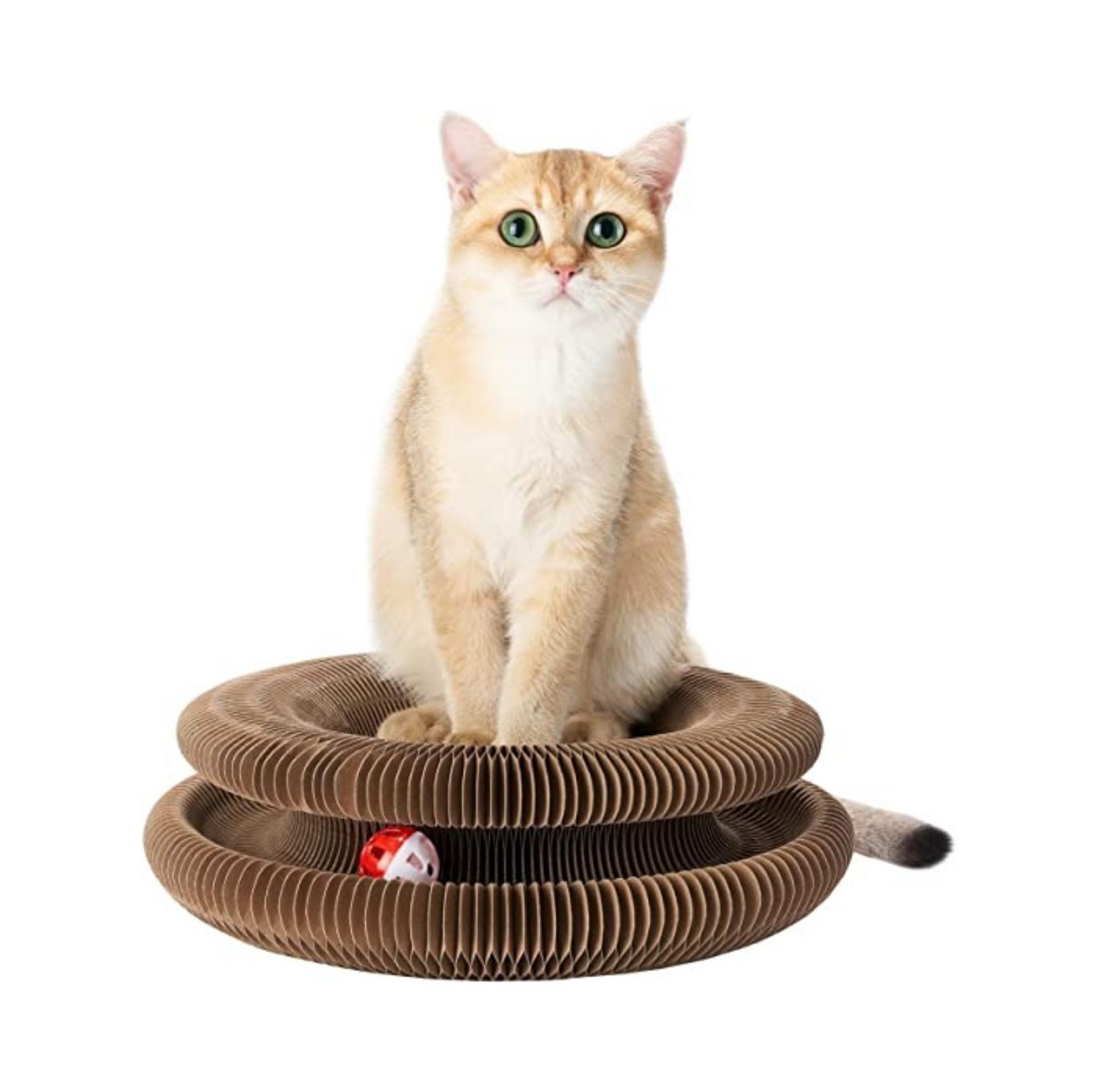 Magic Organ Cat Scratcher | Transformable Toy with Ball