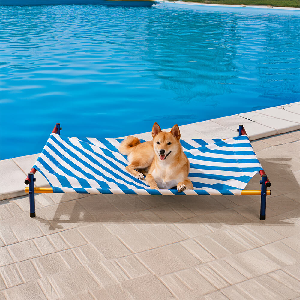 Vibrant Summer Print Style Aluminum Elevated Dog Bed - Summer Paradise