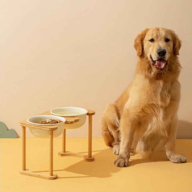 Large Size Double Bowl｜Dog Bowls & Cat Bowls