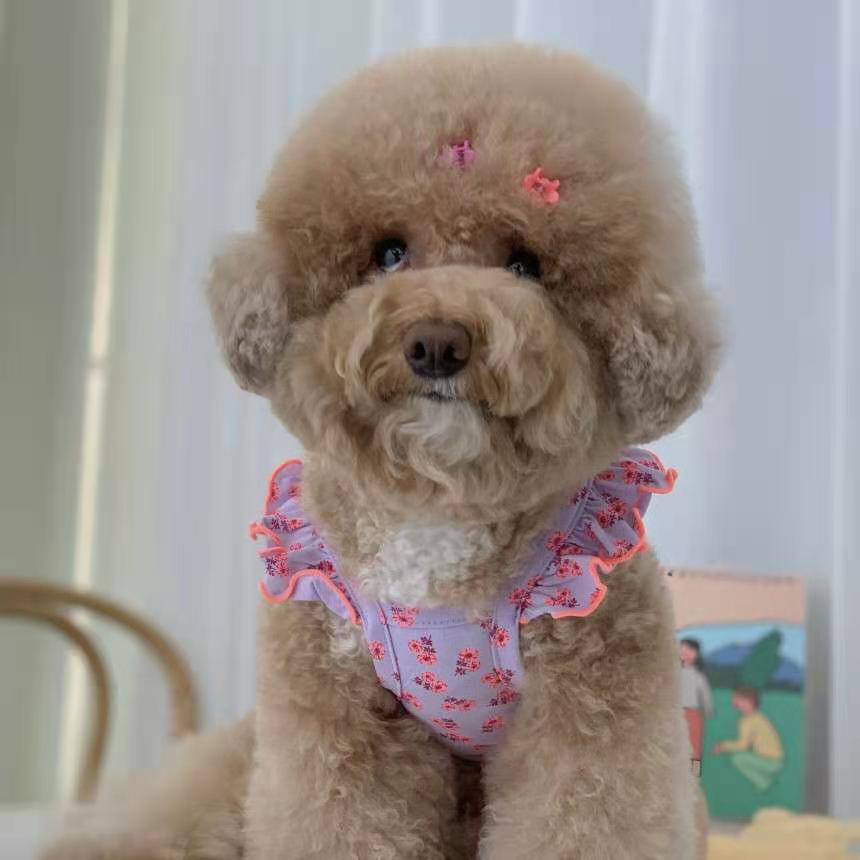 Floral Pattern Strap Dog Cat Vest