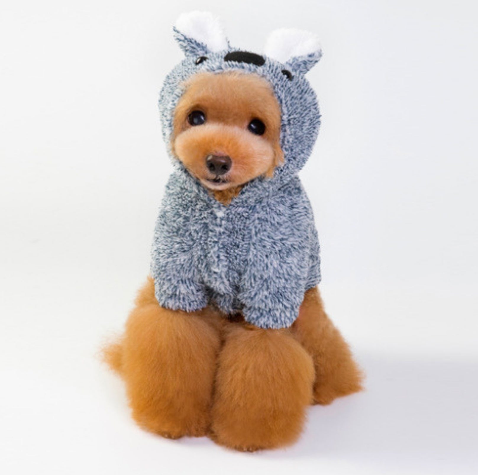 Cozy Koala DoubleFleece Dog Jacket iopnfds