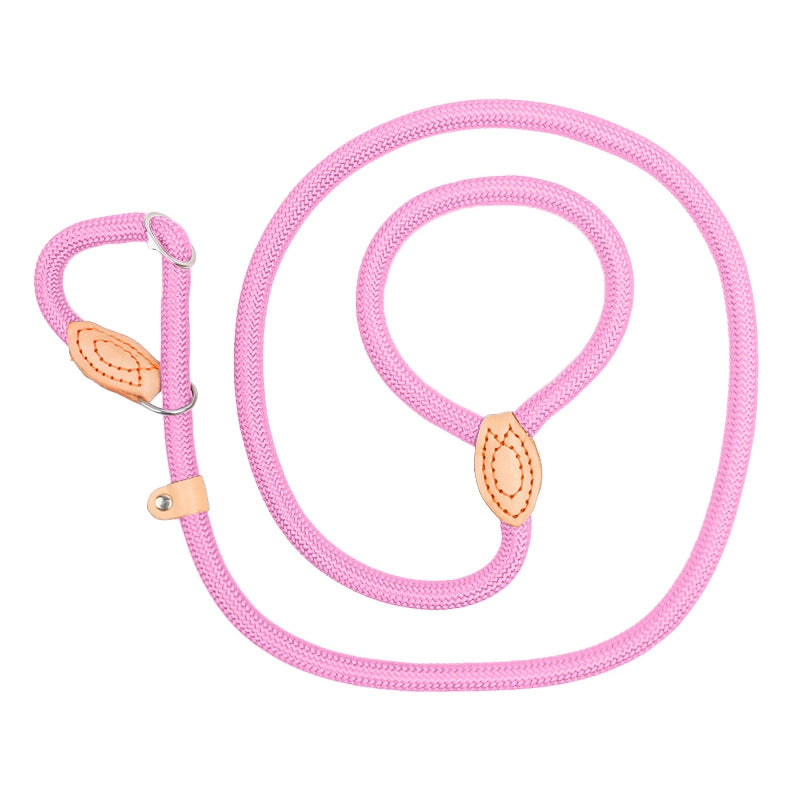 Minimalist Classic Style Nylon Solid Color Leash