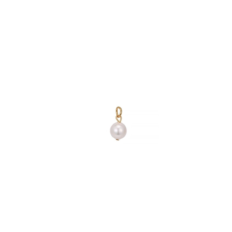 Marine Style Minimalist Starfish Dolphin Shell 201 Stainless Steel 304 Stainless Steel 18K Gold Plated Pendant Necklace