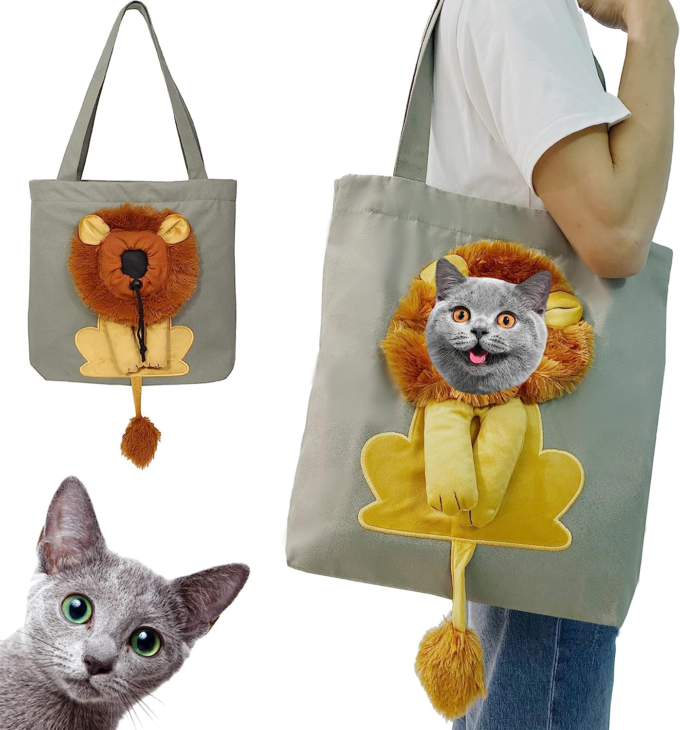 Pet backpack outcrop canvas lion shape