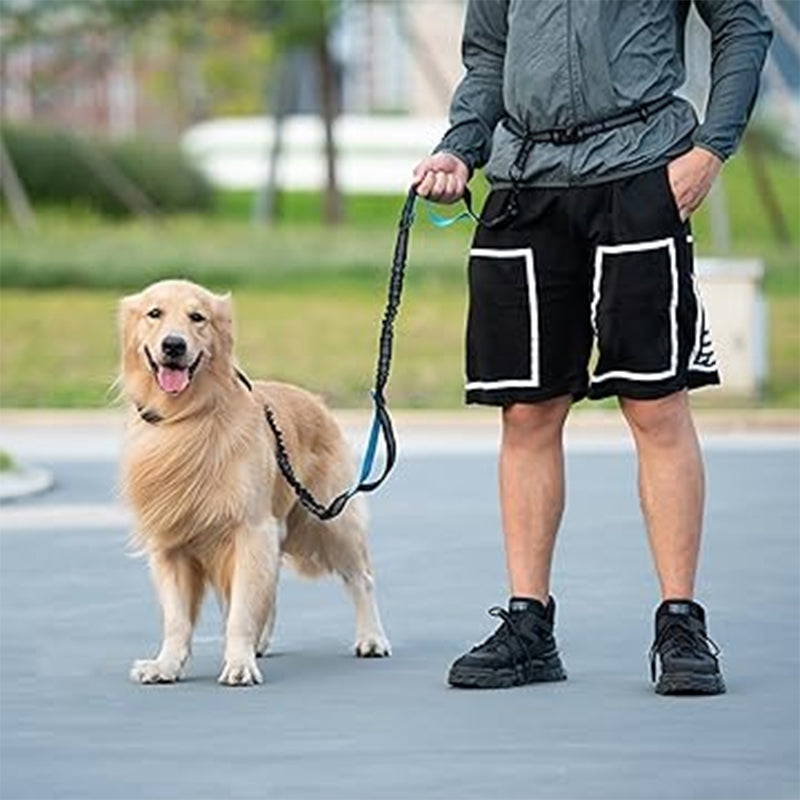 Hands Free Dog Leash