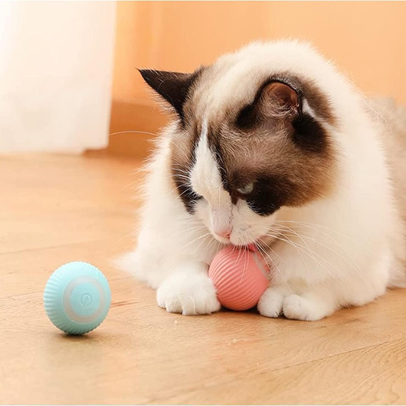 PetGenius Electric Ball Toy for Pets