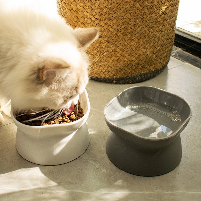 Double-sided Pet Feeding Bowl Oblique Mouth Protection Cervical Spine Dog Feeder Prevent Knocking Over High-legged Cat Feeding Basin