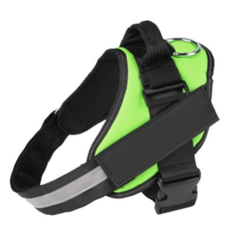 Personalised No Pull Dog Harness