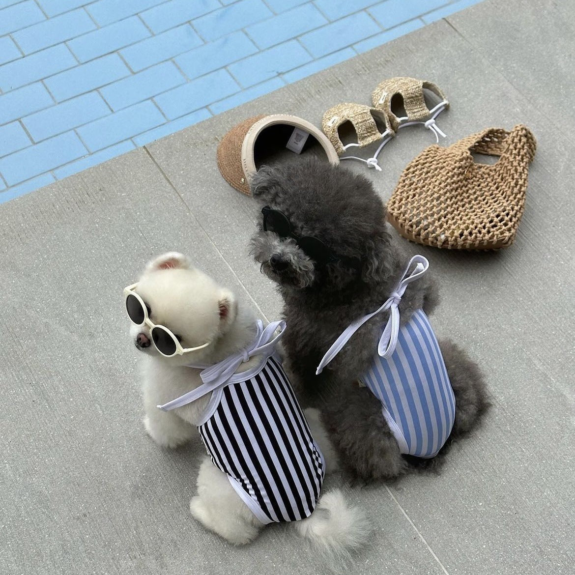Striped Printed Dog Swimsuit