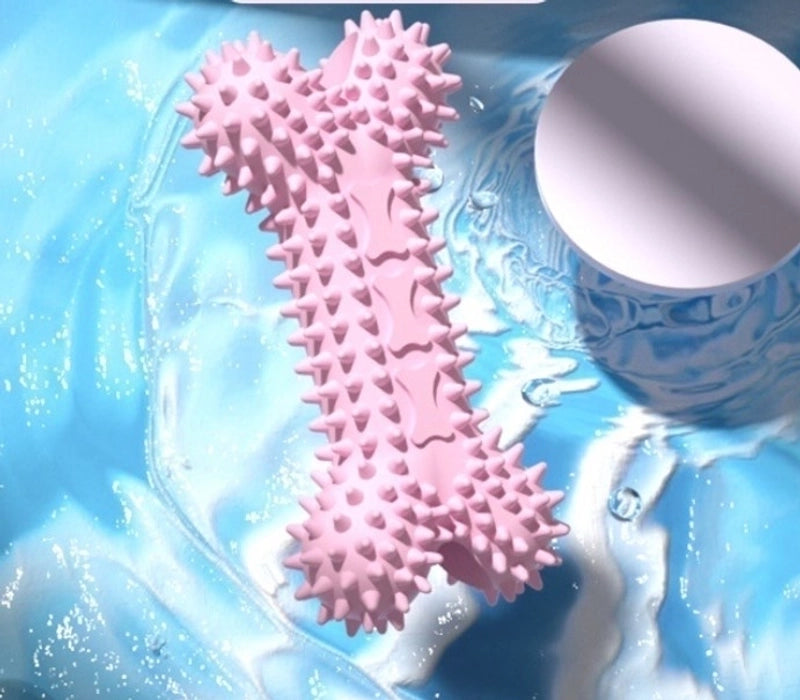 Molar Bone Shape Bite Glue Stick