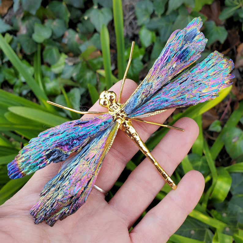 💥🦋AURA TOURMALINE KYANITE DRAGONFLY✨