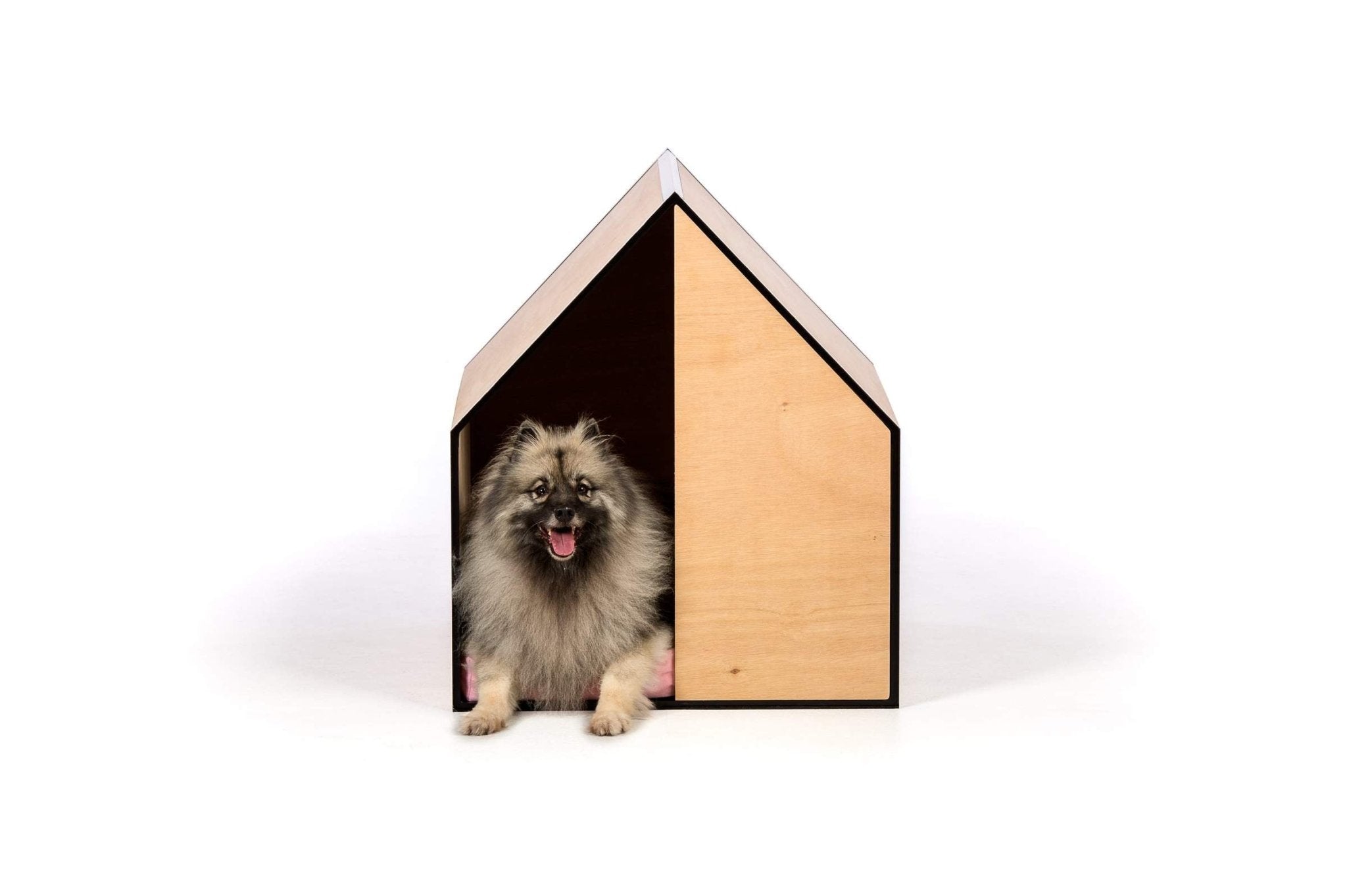The Dog Room in Medium