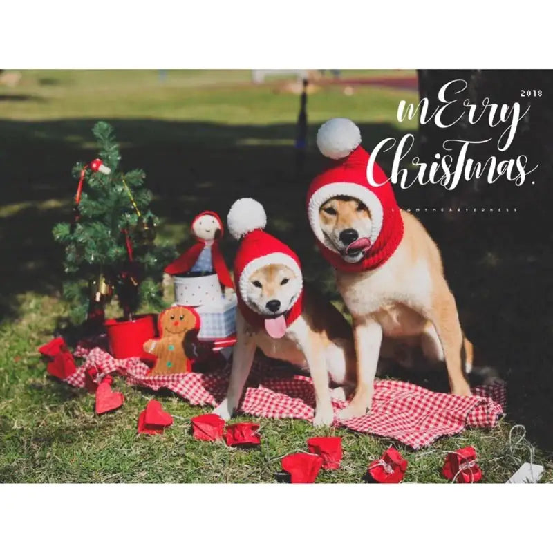 Winter Pet Christmas Hat Warmer