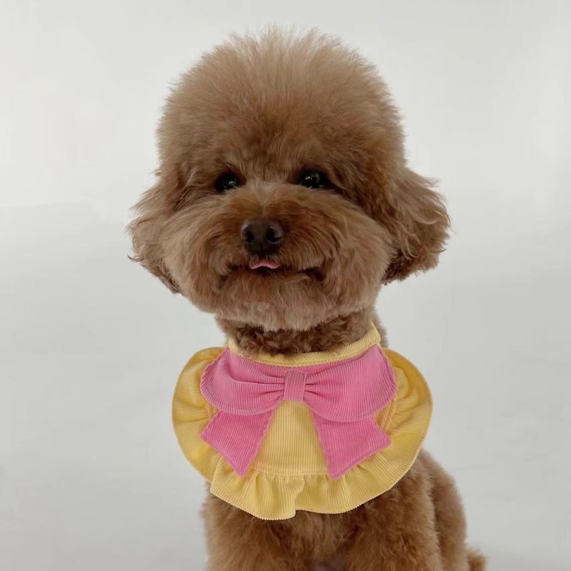 Contrast Color Sweet Dog Cat Bandana Bibs