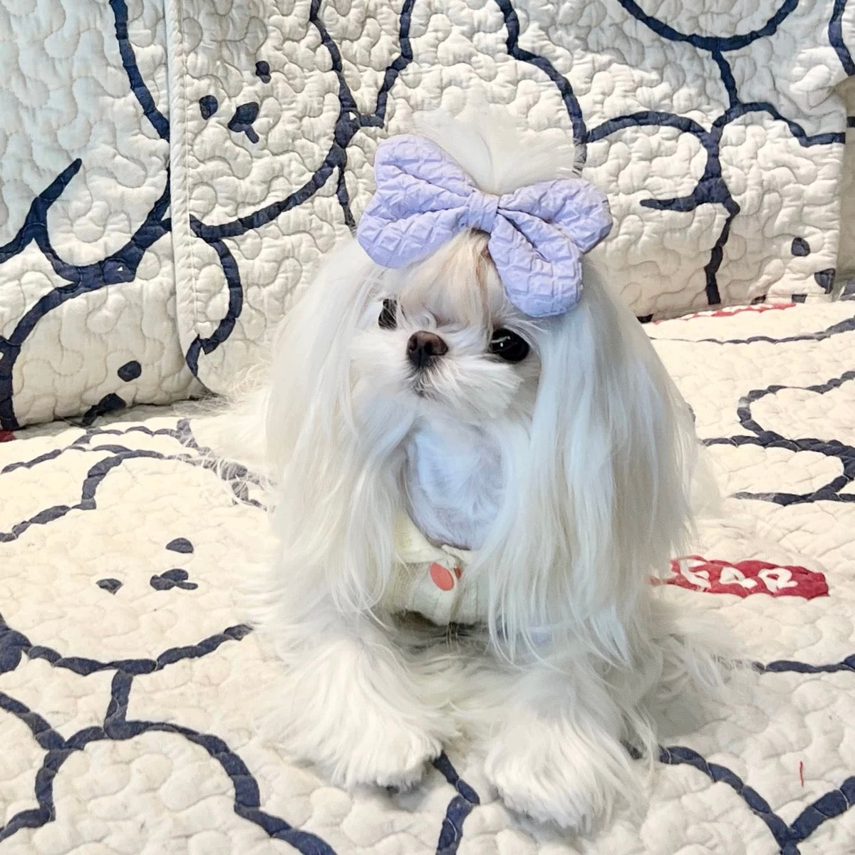 Sweet Bow Dog Cat Hair Clip