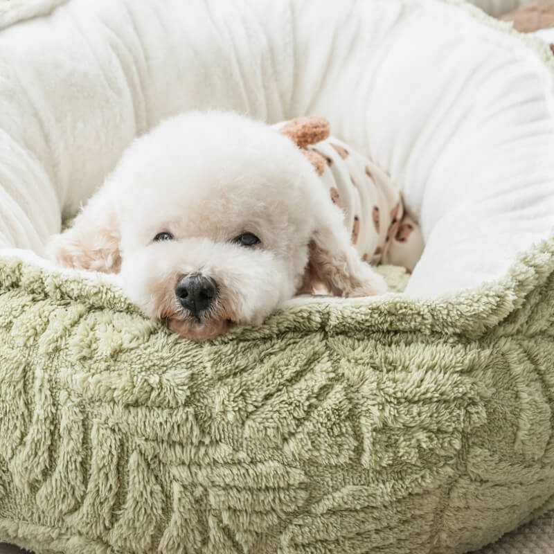 Round Warm Autumn Leaf Dog Calming Bed