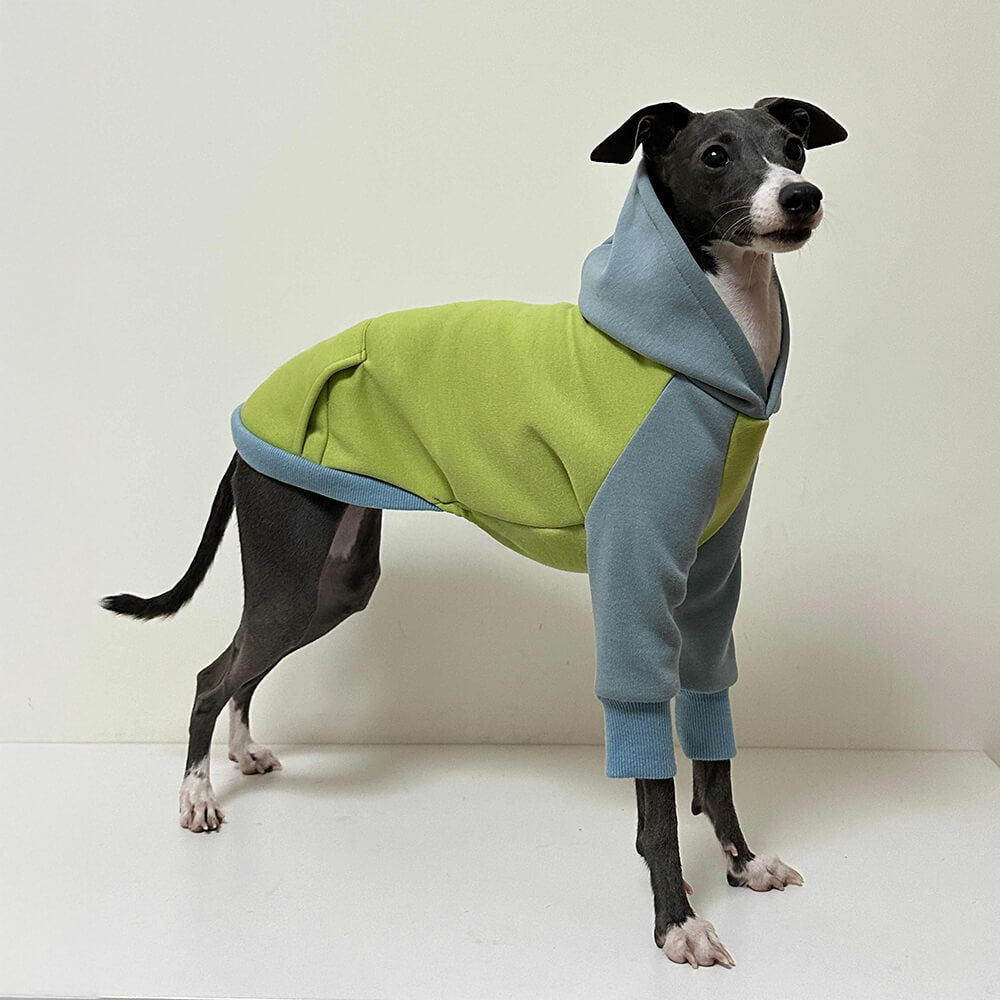 Lightweight Warm Thick Turtleneck Down Padded Dog Jacket Sweatshirt Set