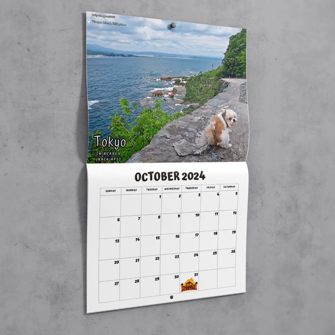 😆Funniest calendar of the century|Artistic expression of furry friends