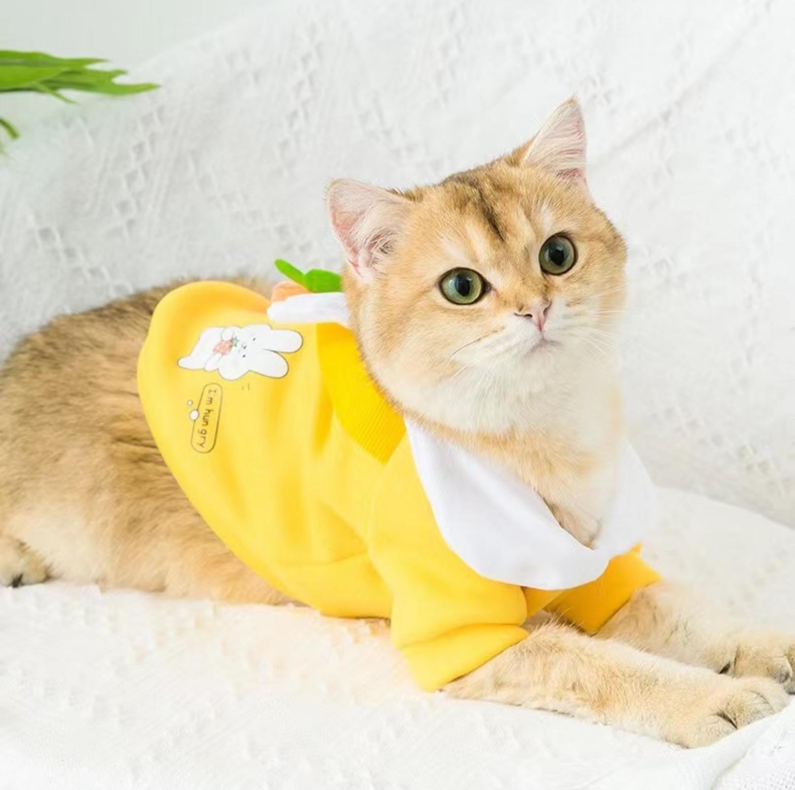 Cute Cartoon Pet Sweater with Crossbody Bag