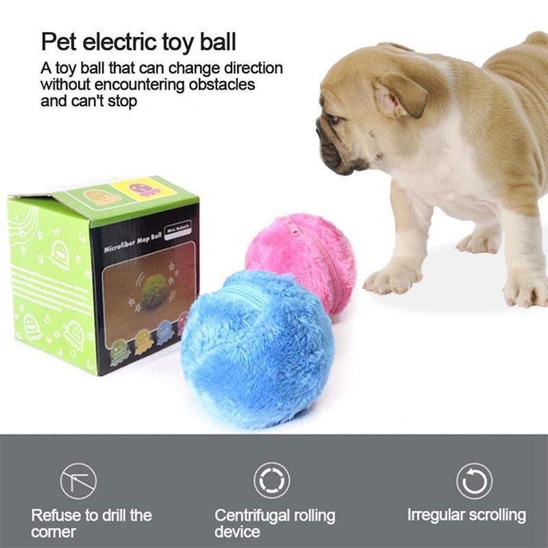 Magic Ball for Dogs