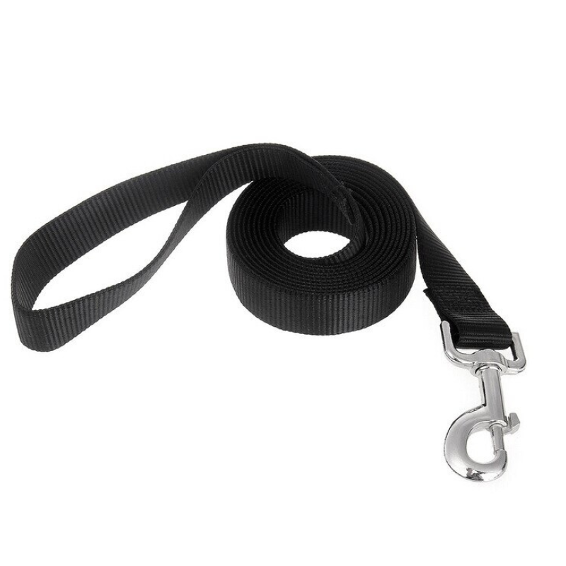 Long Dog Leash