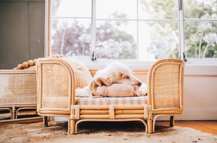 Ralf Rattan Dog Bed (3 Sizes)