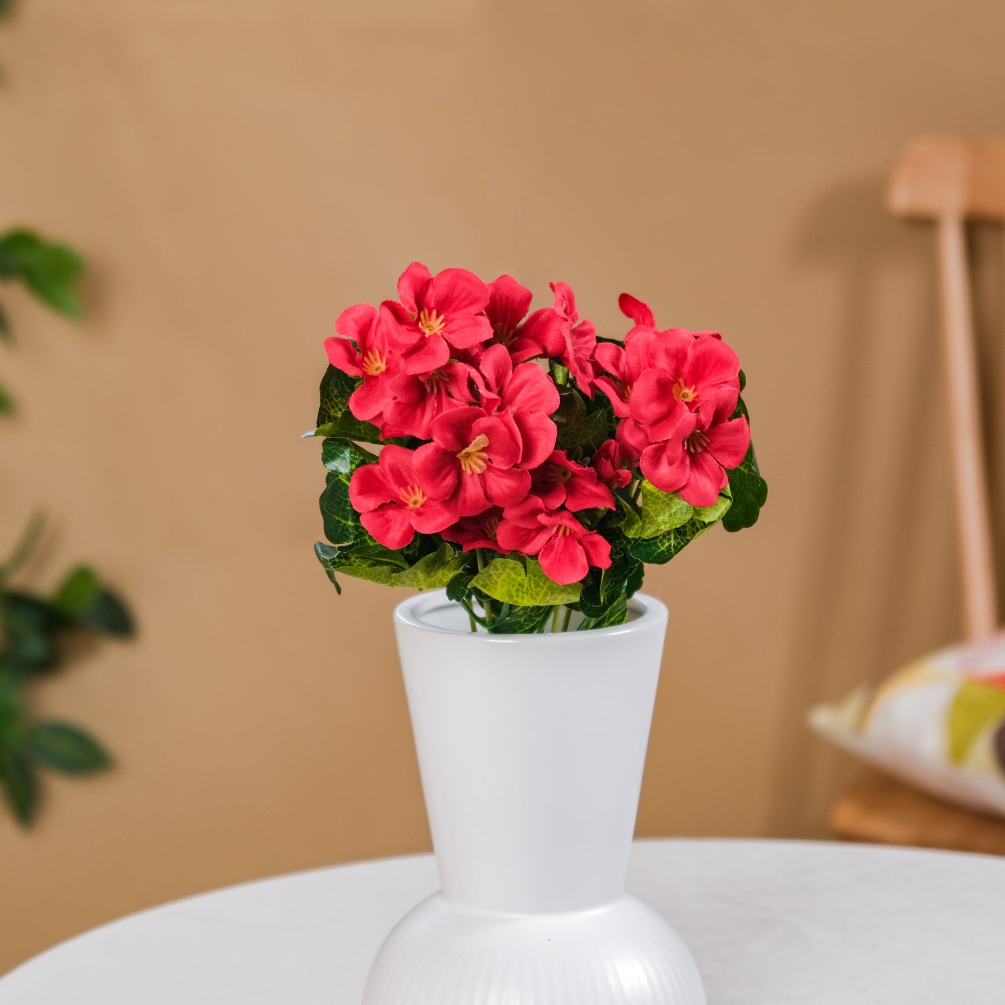 Begonia Flower Stem