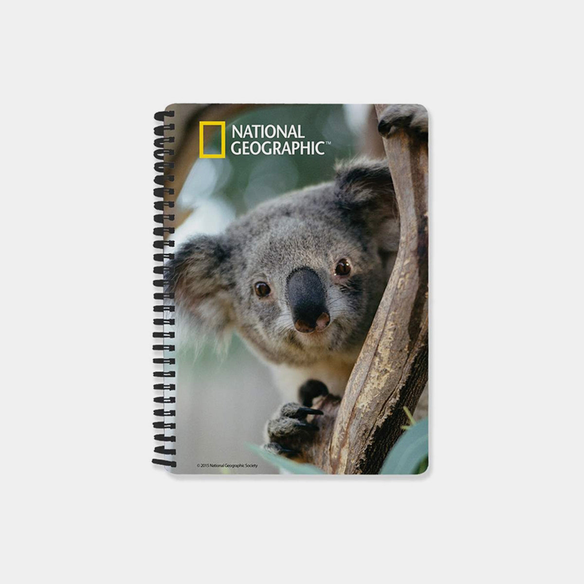 Koala 3D Cover A5 Diary