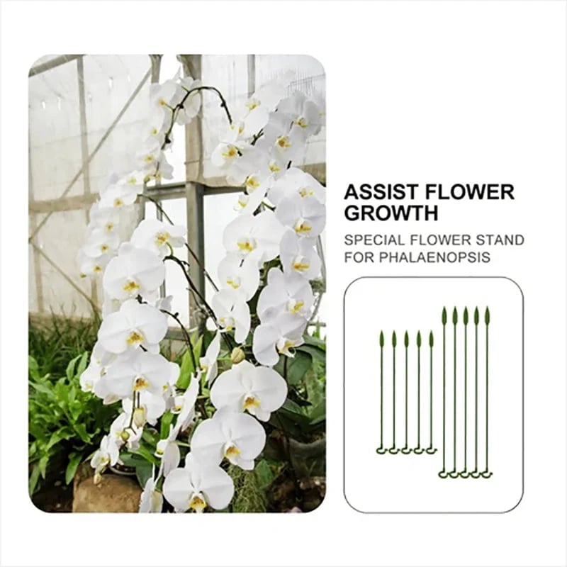 🔥 BIG SALE - 49% OFF Plant Support Stake