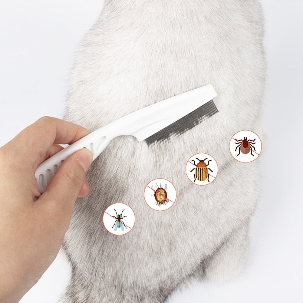 (🔥FACTORY OUTLET-49% OFF) Tear Stain Remover Comb (BUY MORE SAVE MORE)