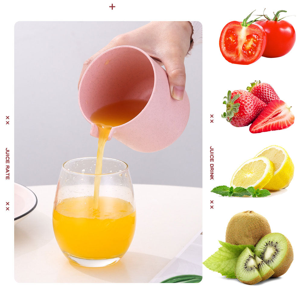 MANUAL PORTABLE CITRUS JUICER