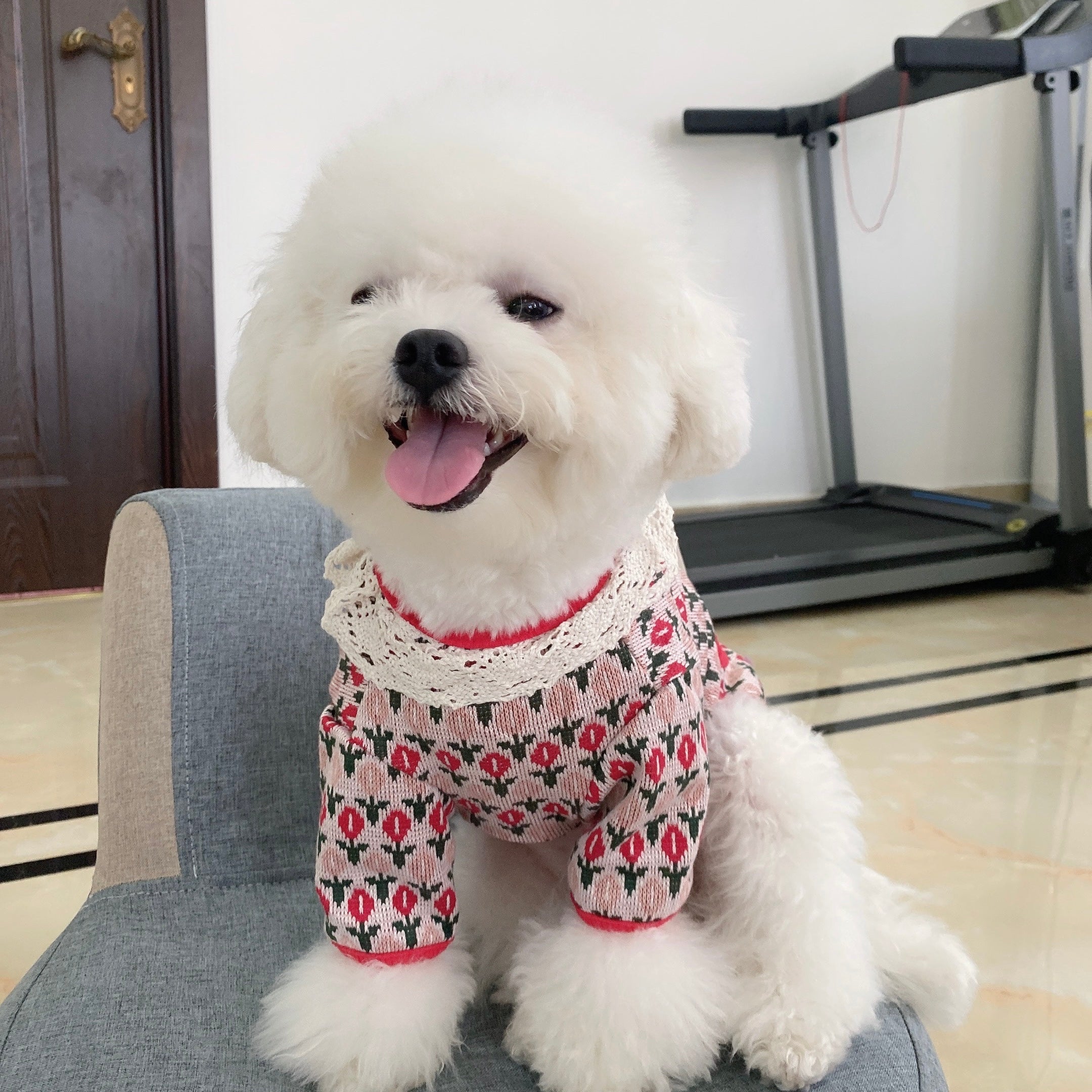 Tulips Printed Buttoned Dog Cat Coat
