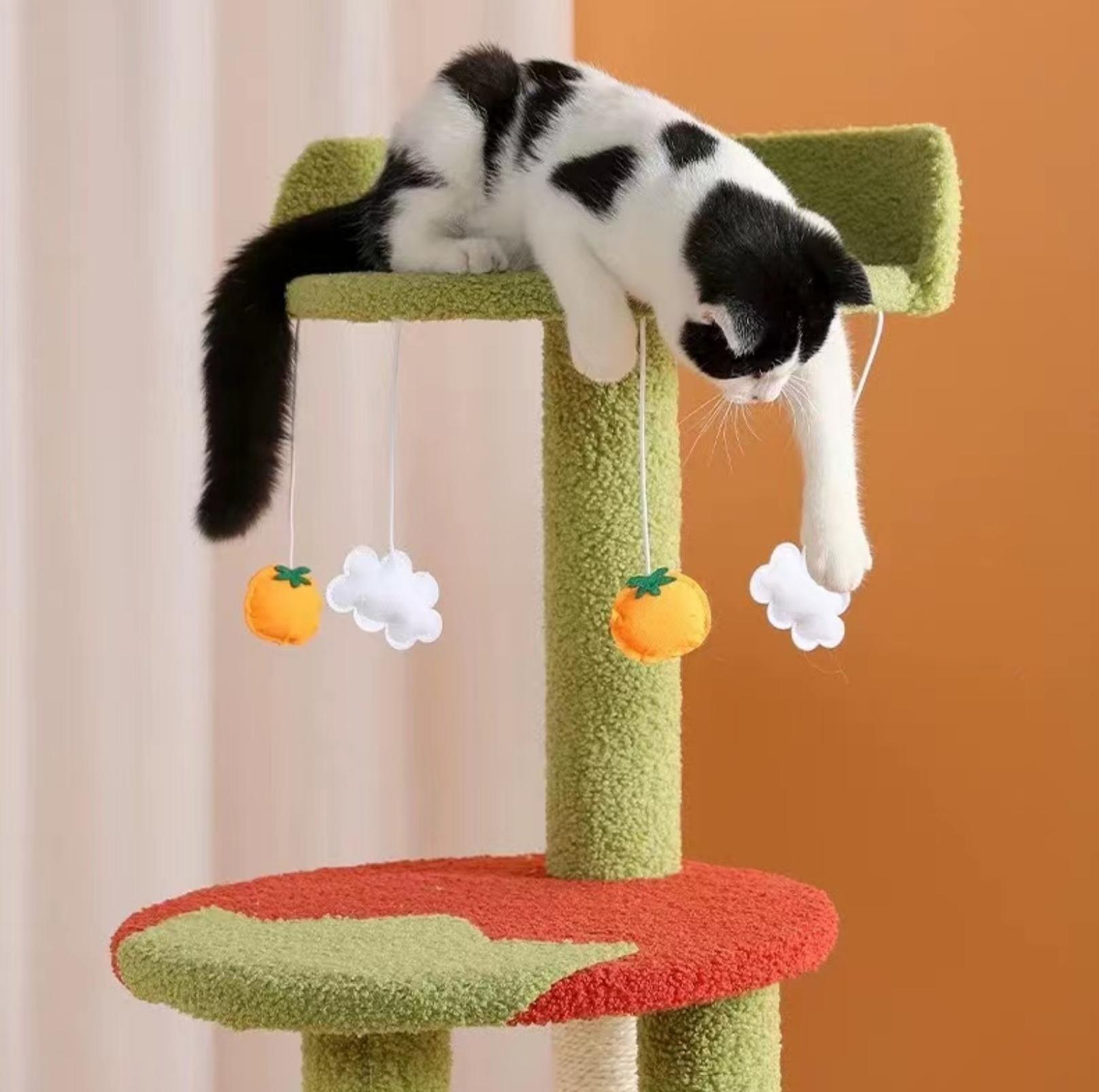 Fried Egg With Tomato Cat Tree Climbing Frame With Scratching Posts