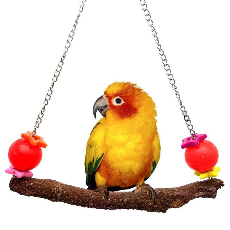 Swing Birds Bite Training Toys