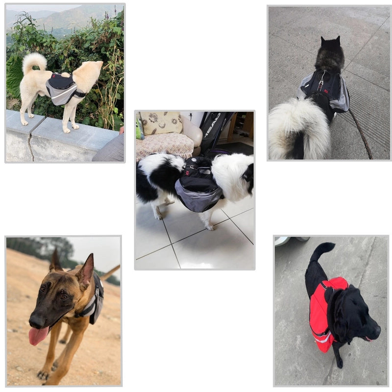 Pet Self-backpack Pack New Dog Outdoor Bag Dog Outgoing Self-backpack Dog Supplies Exclusive