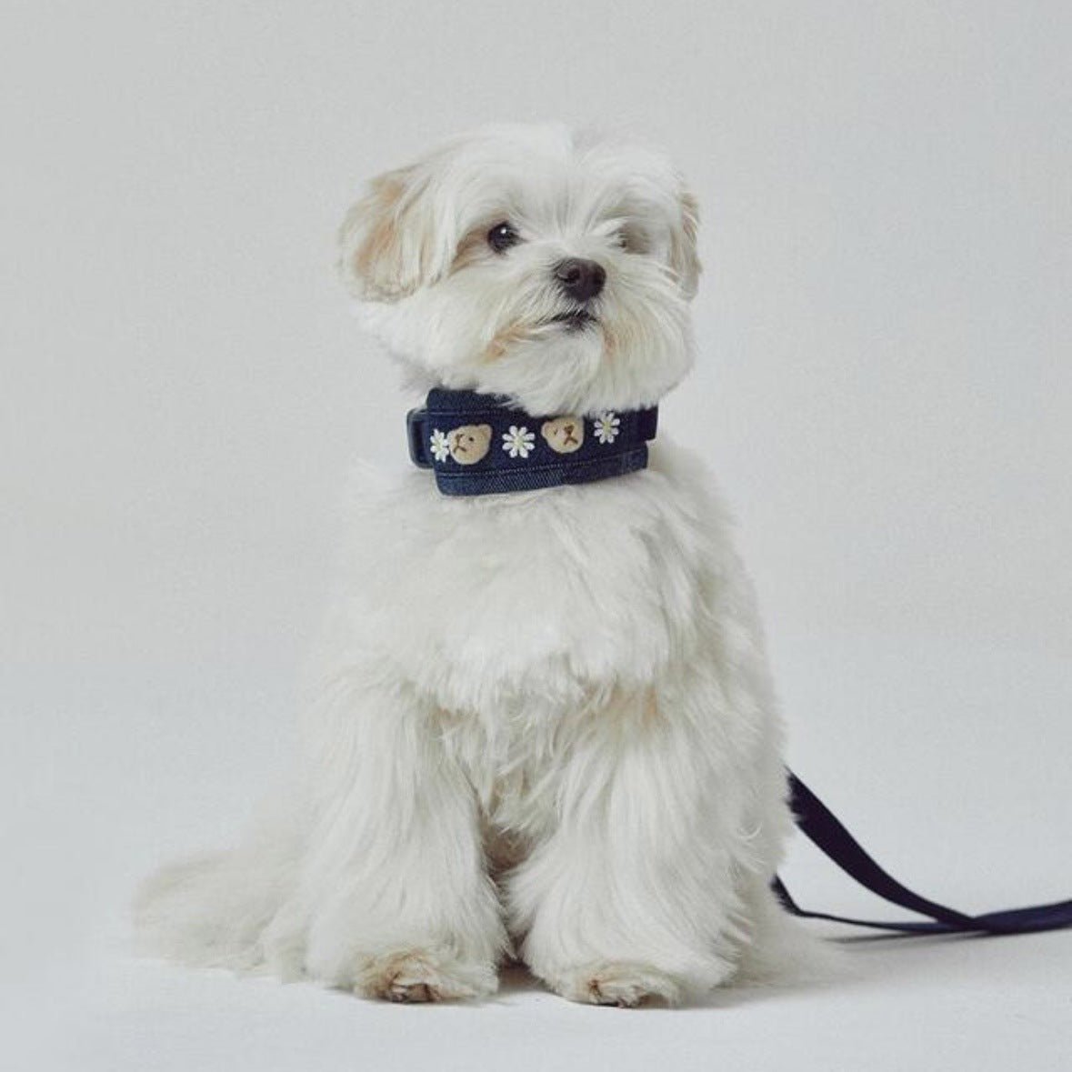 Bear Decor Denim Dog Harness/Collar/Bag