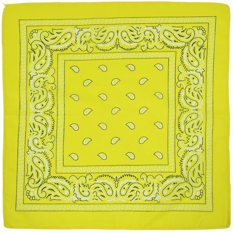 Unisex Hip-hop Paisley
