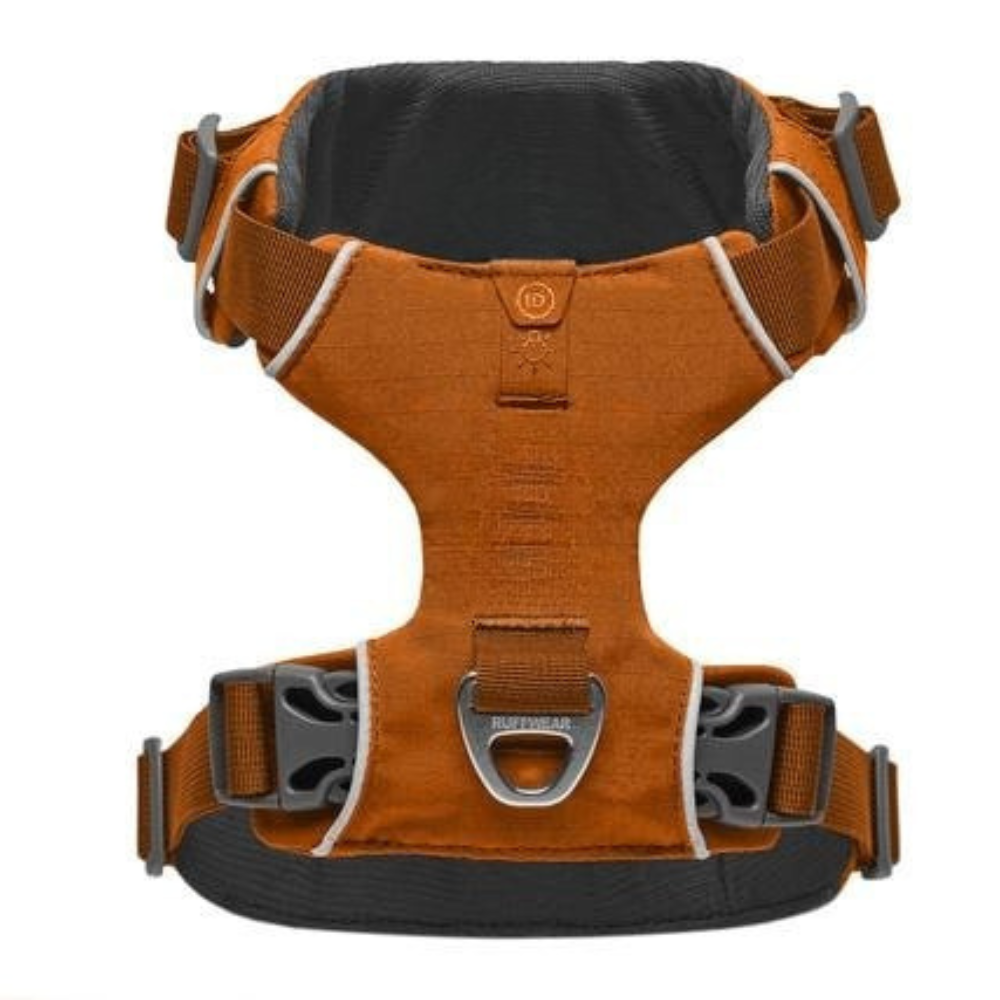 Adjustable Adventure Dog Harness For Outdoor Walking