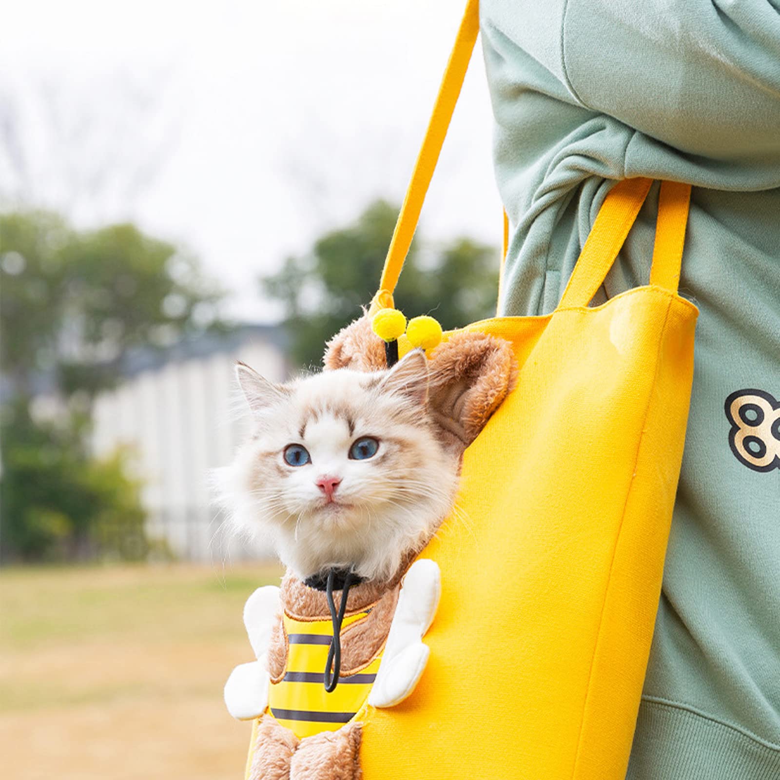 🐱 Hot Sale 🐱 Canvas Cat Carrier Bag