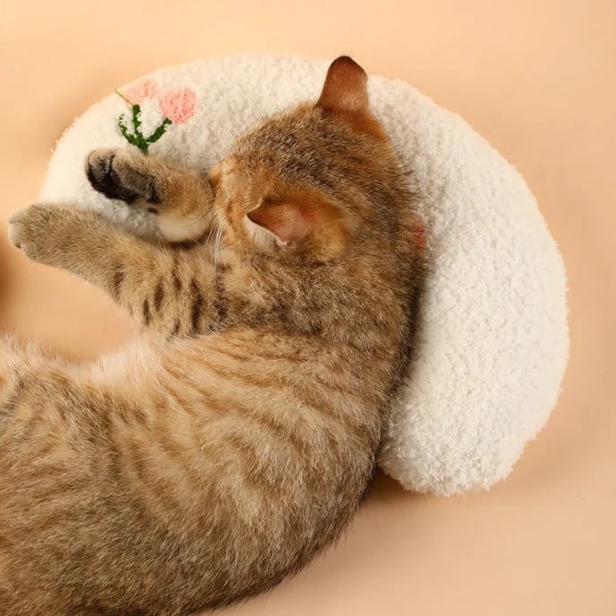 (LAST DAY SALE - 49% OFF) Cat Lovely Cozy Pillow   BUY 3 GET 3 FREE & FREE SHIPPING