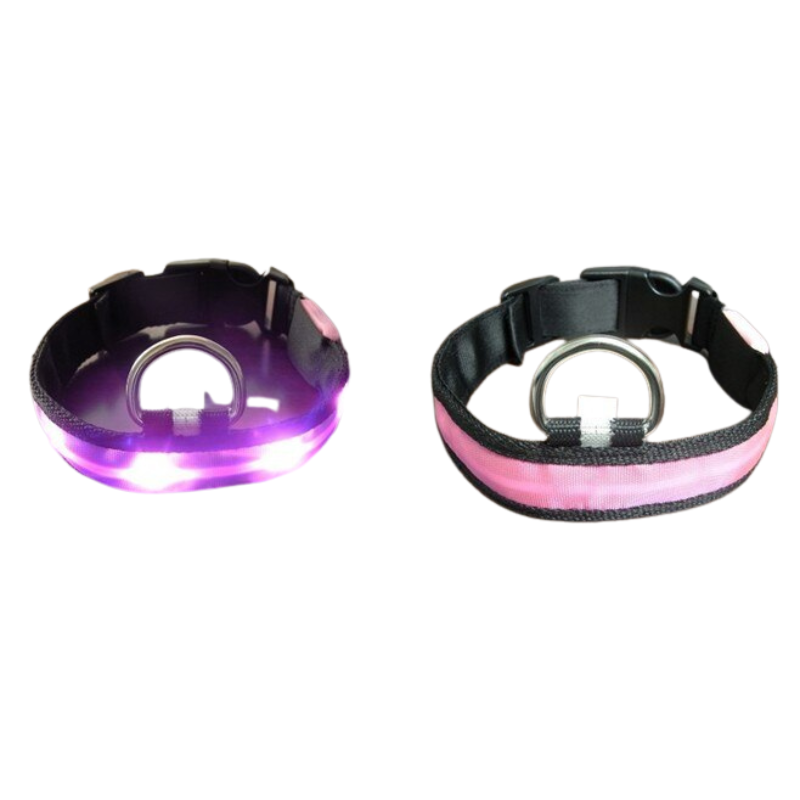 Night Safety Pet Dog Collar LED Light