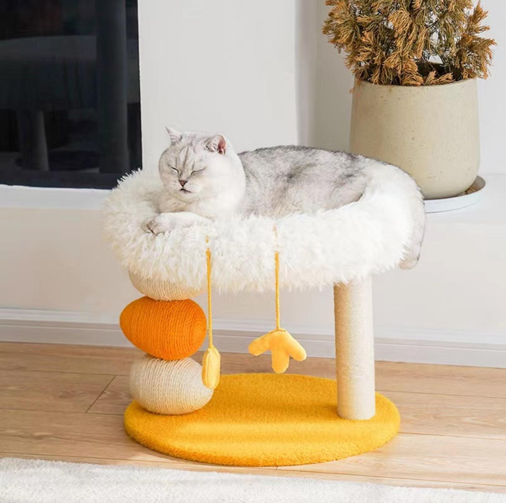 Cat Scratching Post and Cat Bed